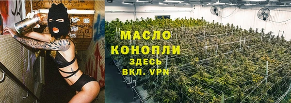 амф Тайга