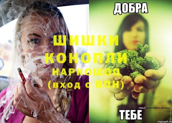 крисы Вязьма