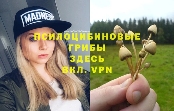 ешки Володарск