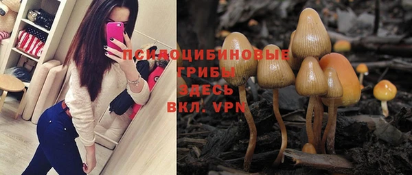бошки Волоколамск